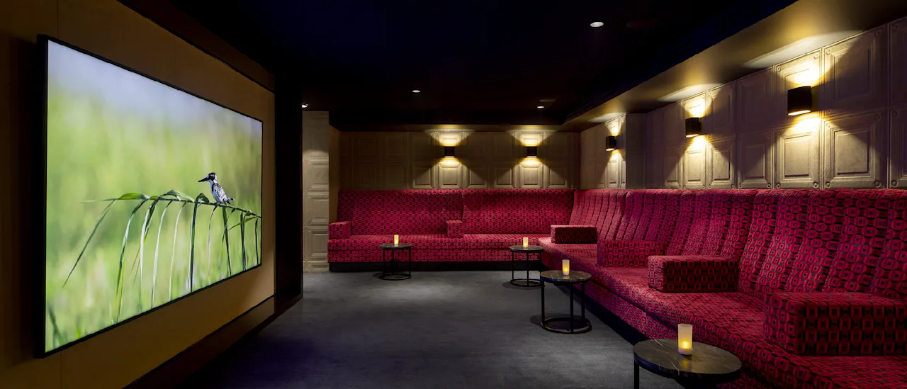 The cinema