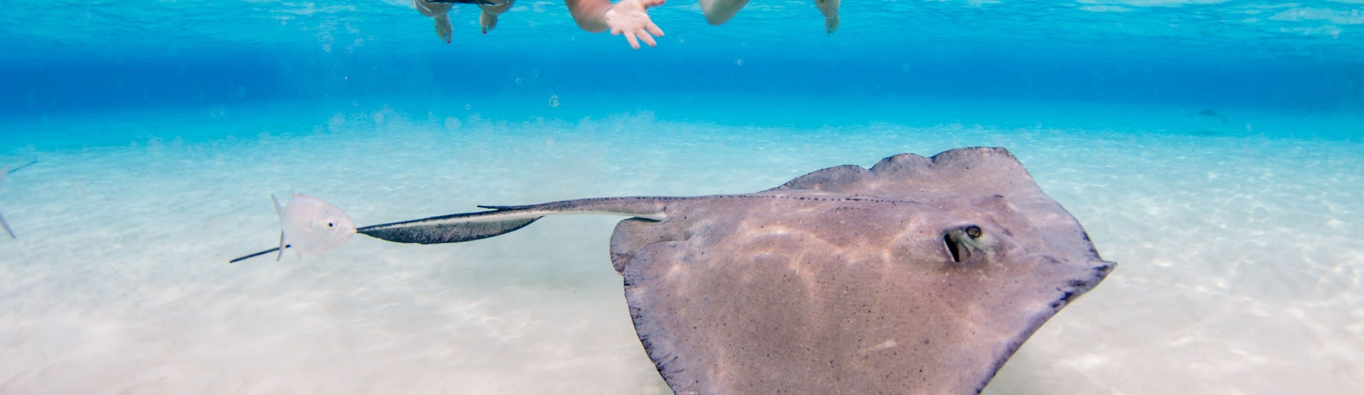 Cayman Islands, George Town
