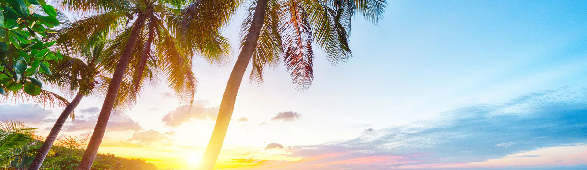 Guadeloupe, Pointe-à-Pitre