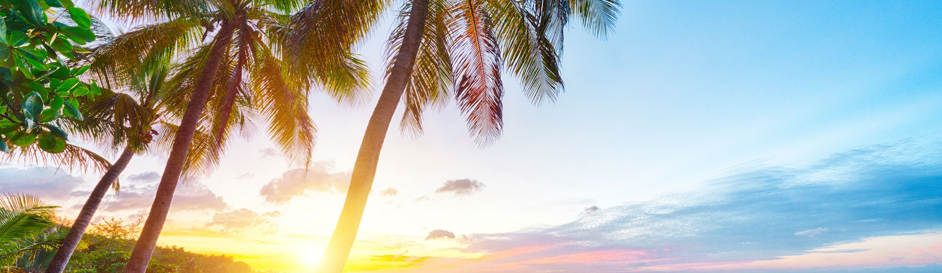 Guadeloupe, Pointe-à-Pitre
