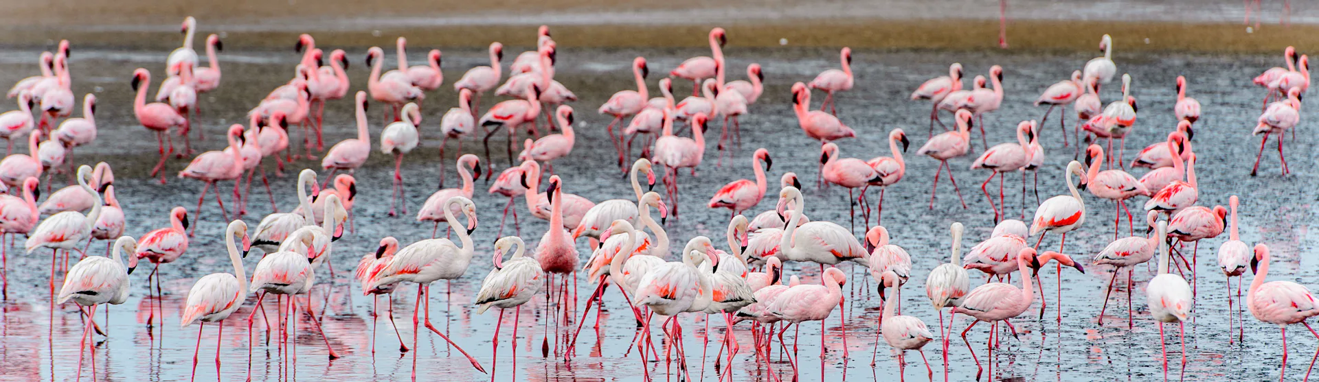 Walvis Bay