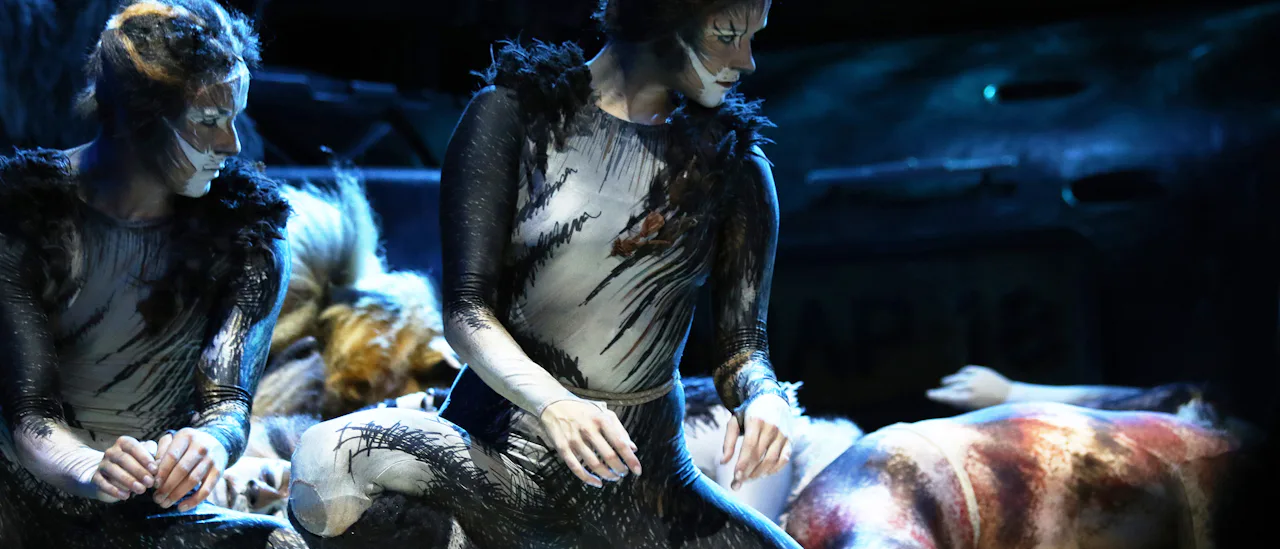 Enjoy a 90 minute long, no expense spared performance of Cats