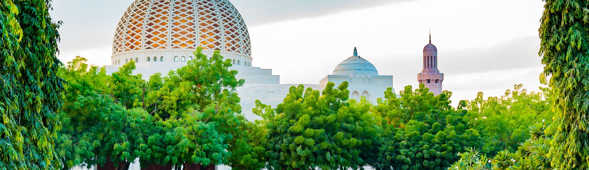 Muscat