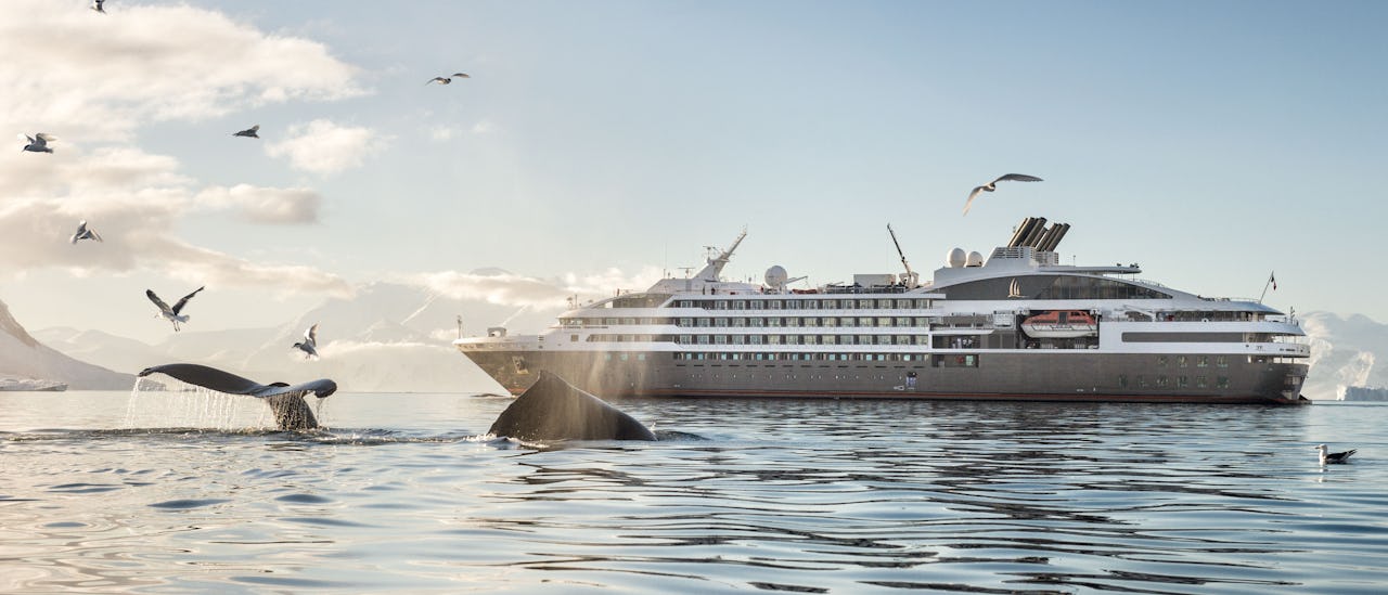 Le Soléal is equipped with a reinforced hull suitable for exhibition cruises to Antartica, Svalbard and other exotic destinations