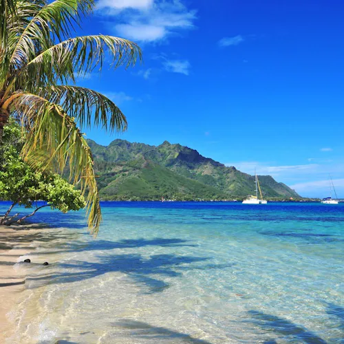 Easter Island & French Polynesia