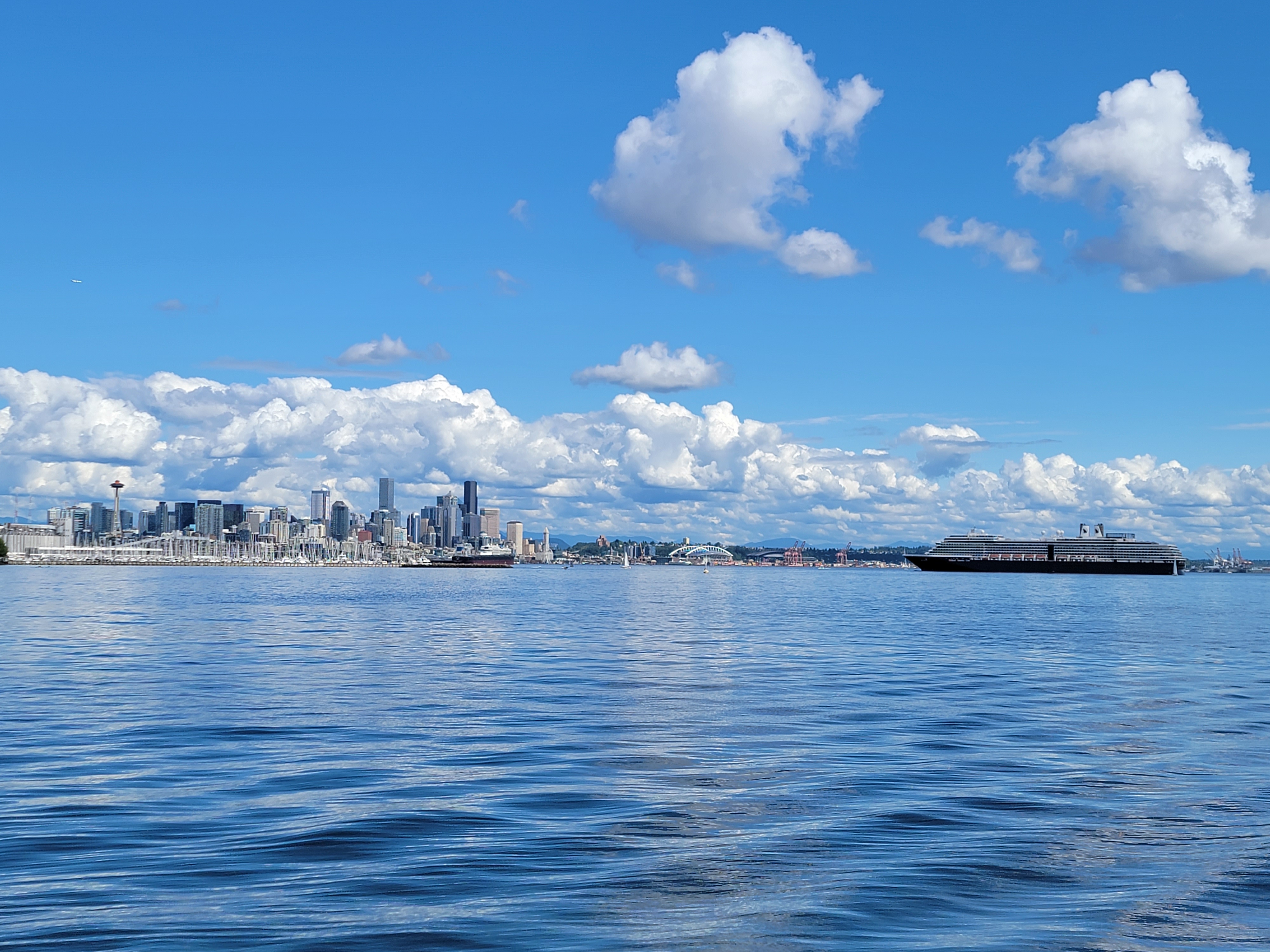 Westerdam in Seattle