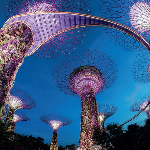 Singapore, Sri Lanka, India, Singapore & Cochin