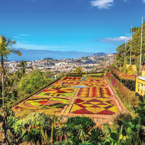 November 2027 Cruises from the UK