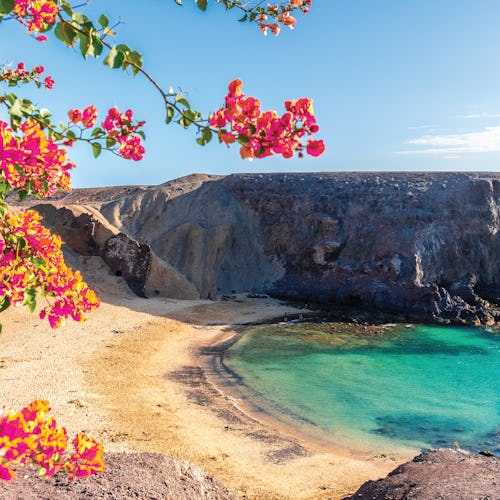 Canary Island Cruises