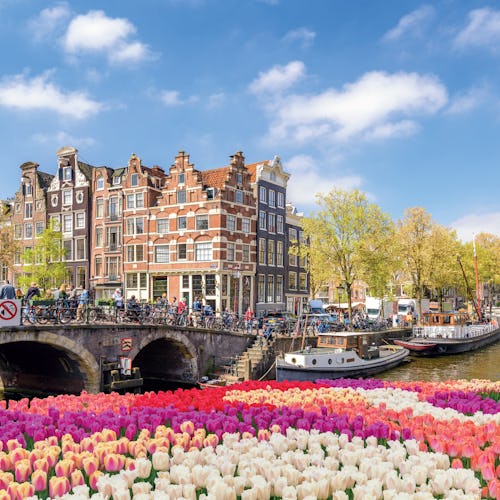 Amsterdam, Kinderdijk and the Dutch Bulbfields River Cruise