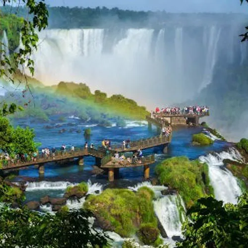 Brazil Intensive Cruise & Iguazu Falls