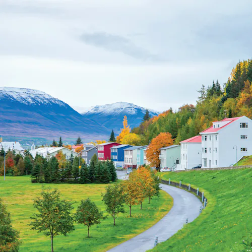 Natural Wonders & Wildlife of Iceland