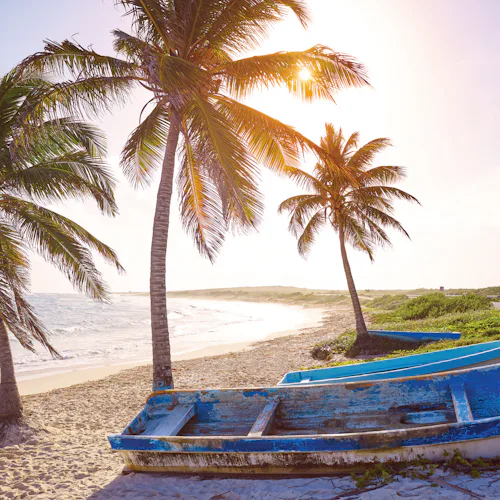 School Holidays Orlando, Tampa & Western Caribbean Cruise