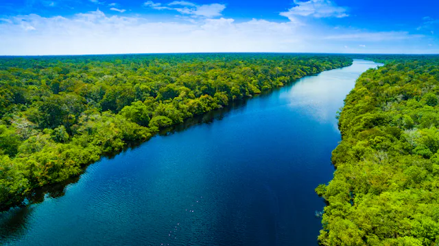 Amazon River