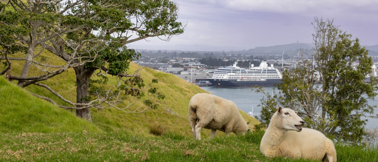 Azamara in Tauranga