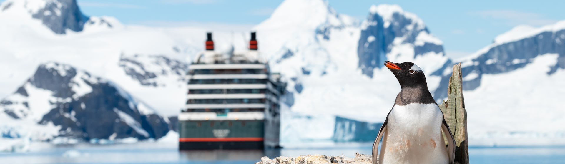 Expedition Cruises