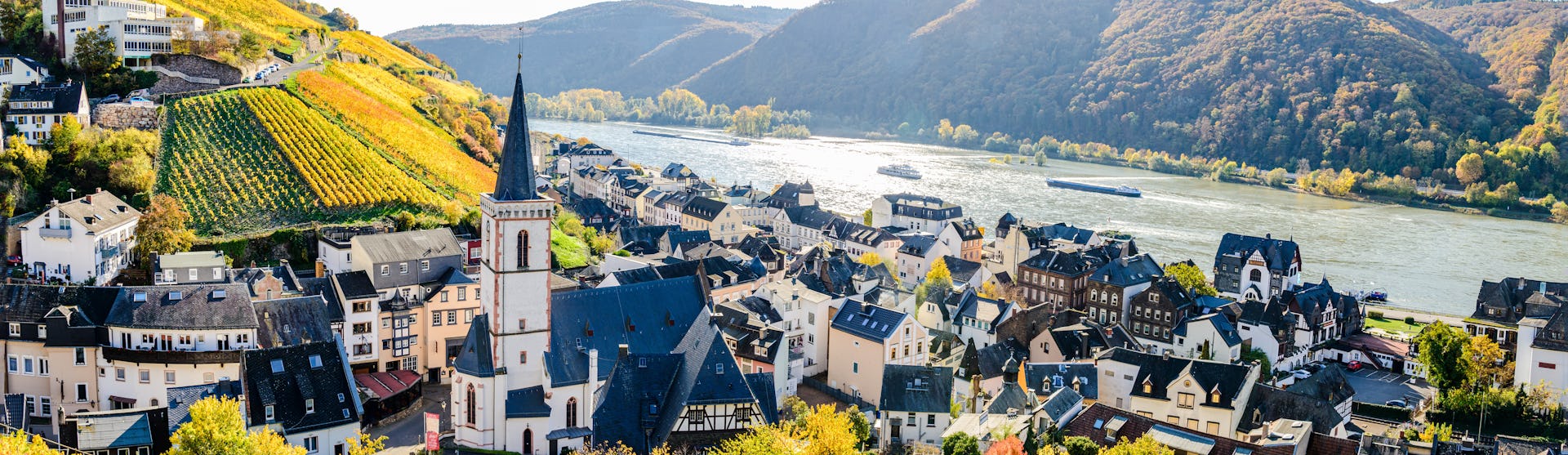 Rhine