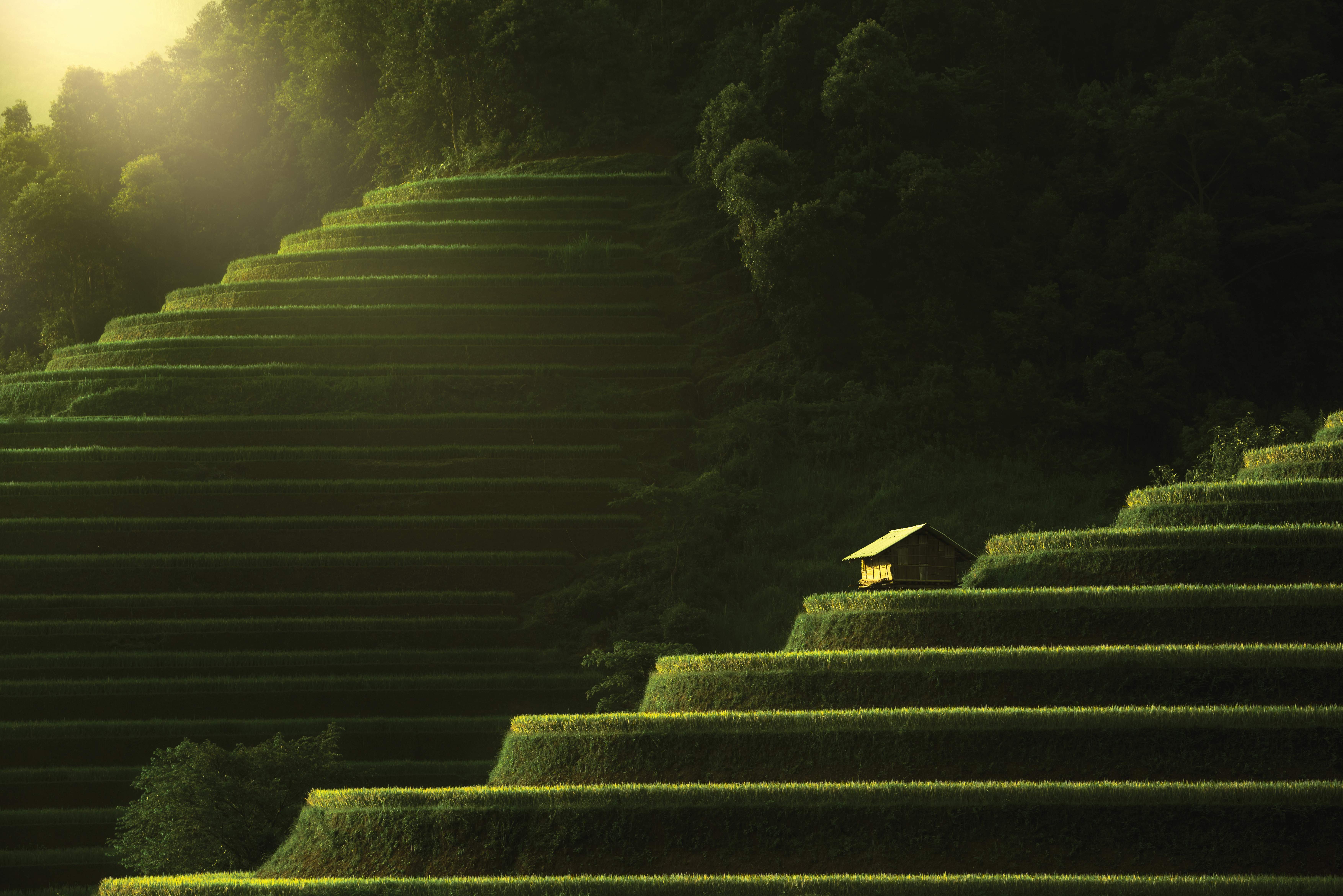 Regent Legendary Voyages