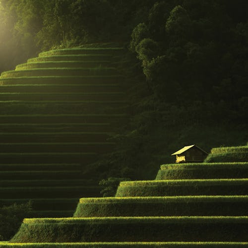 Regent Legendary Voyages