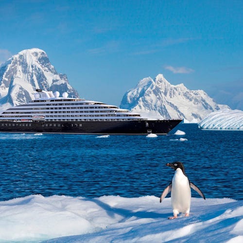 Scenic Ocean Cruises