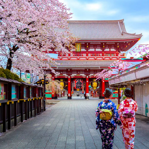 Best of Japan with Bullet Train and Mount Fuji