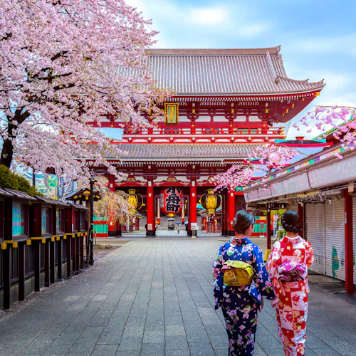 All-Inclusive Japanese Cherry Blossoms with Tokyo, Mt Fuji & Bullet Train