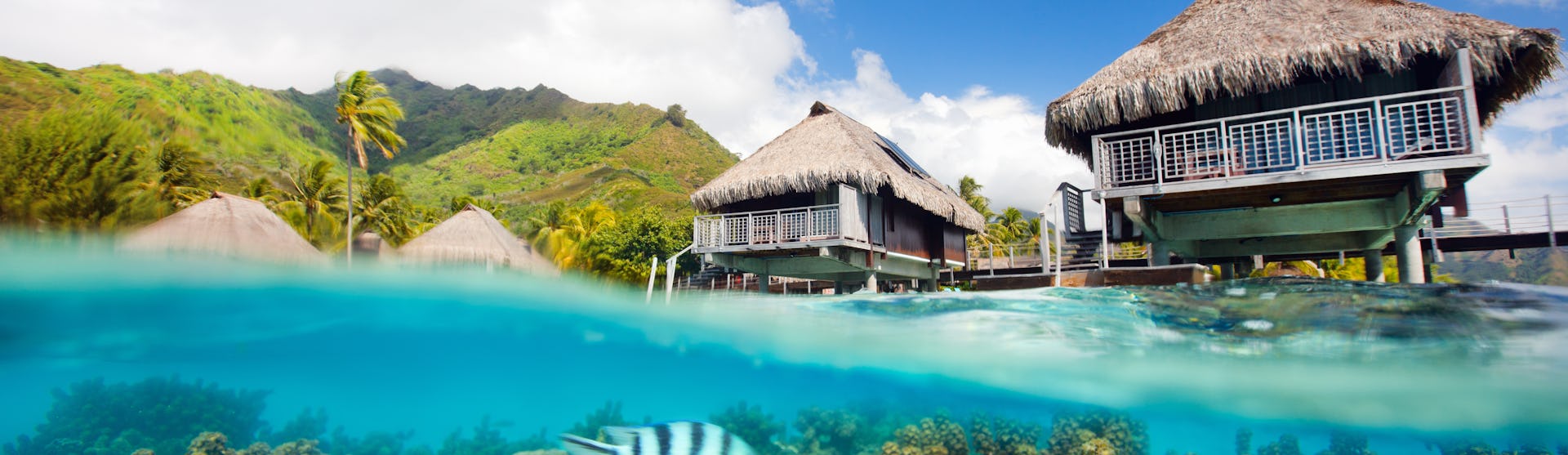 Moorea