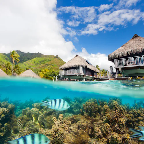 Moorea