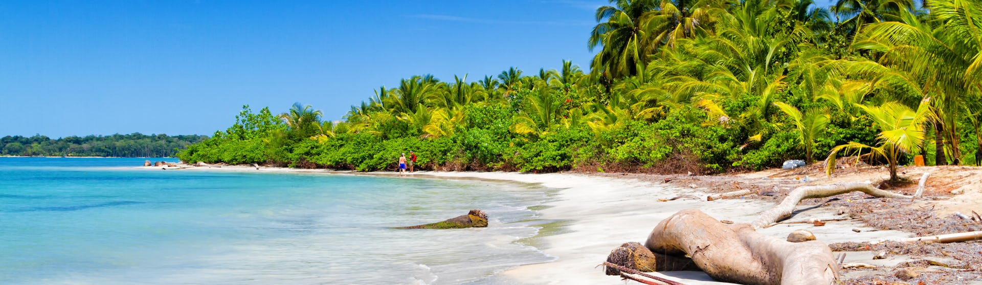Boscas Del Toro