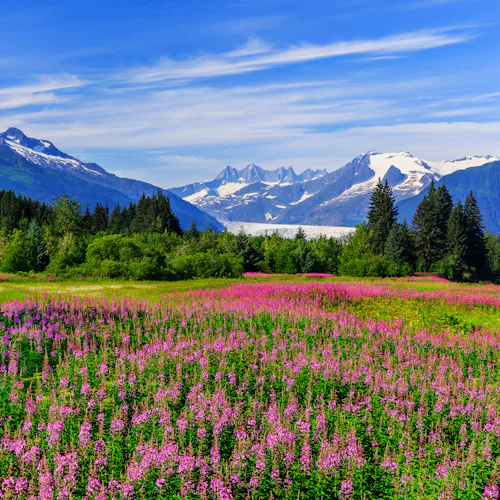Juneau