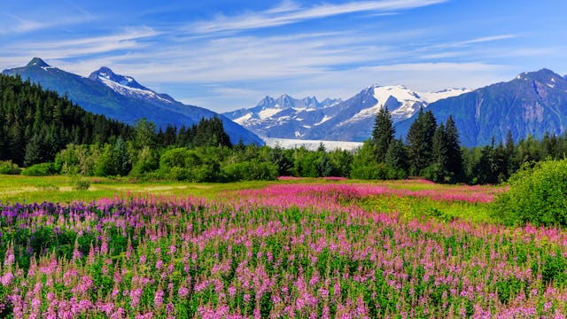 Juneau