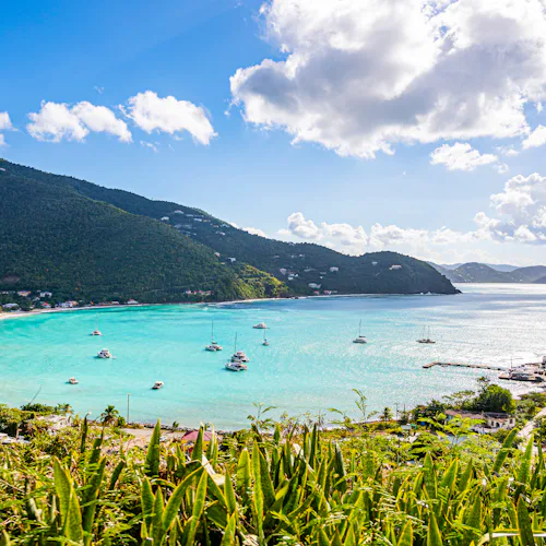 Tortola