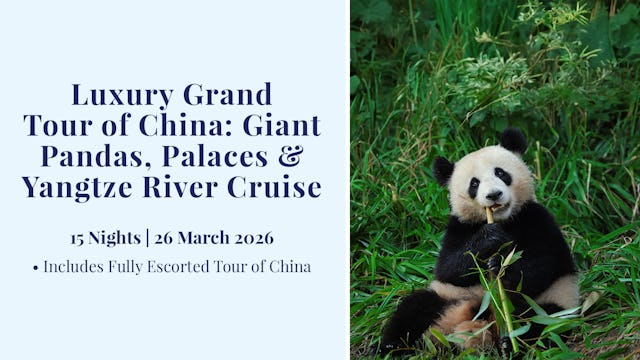 Luxury Grand Tour of China - Giant Pandas, Palaces & Yangtze River Cruise