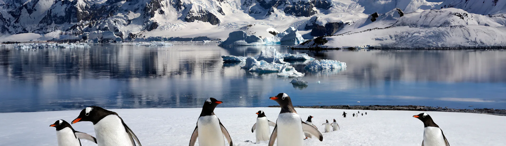 Antarctica