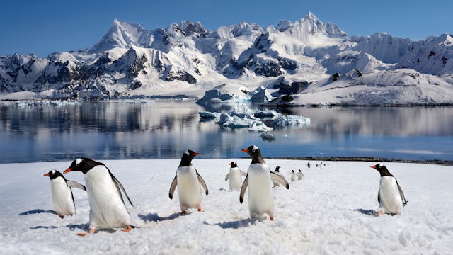 Antarctica