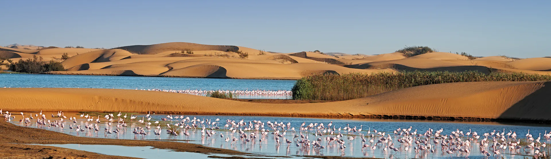 Walvis Bay