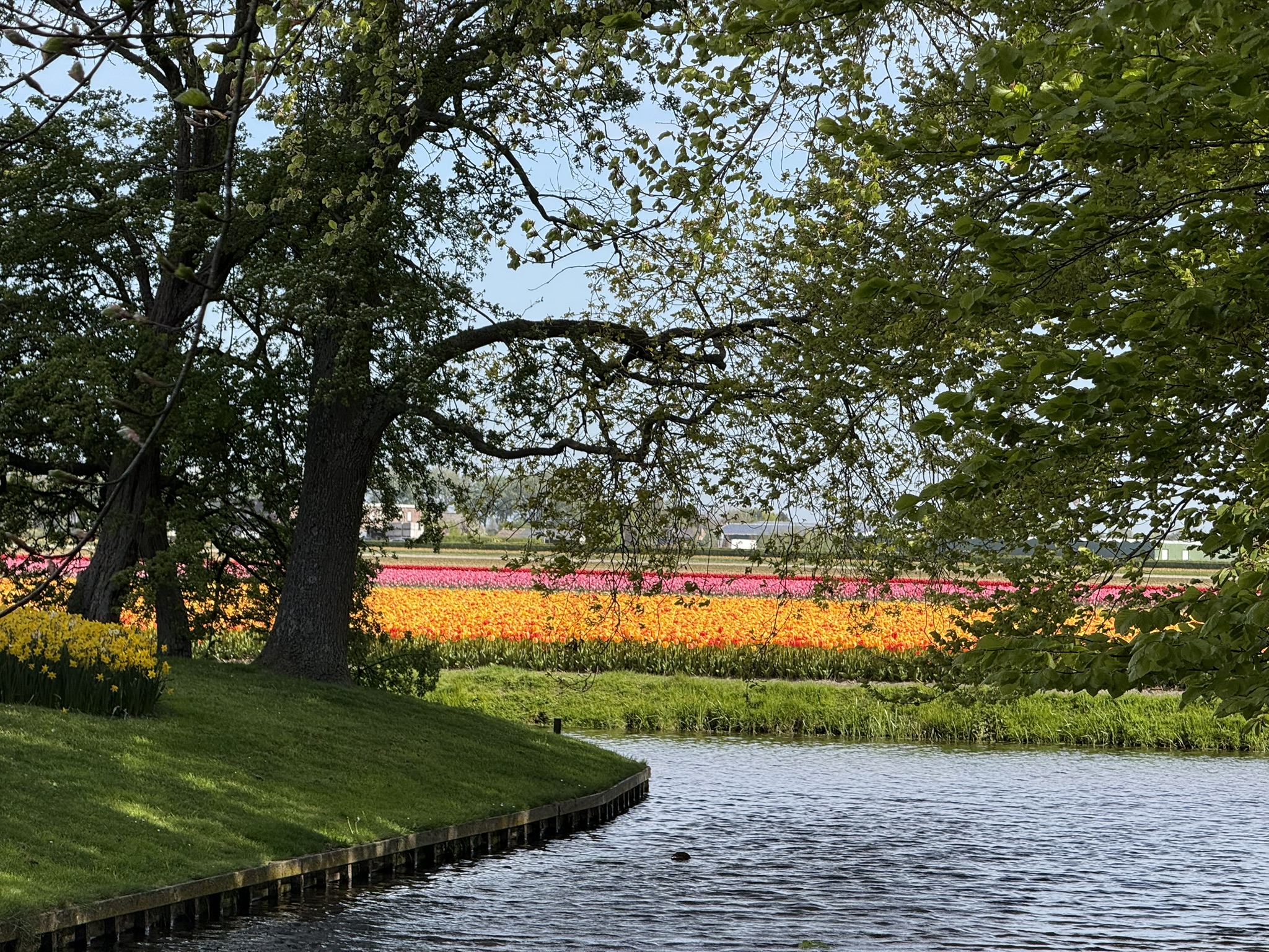 Keukenhof