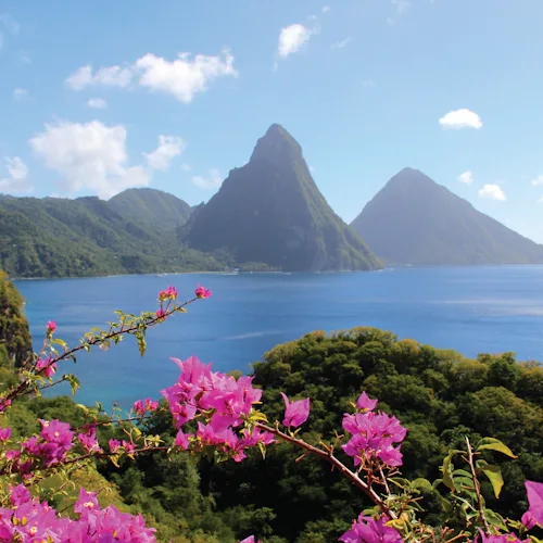 Tropical Heart and Soul with Barbados Stay