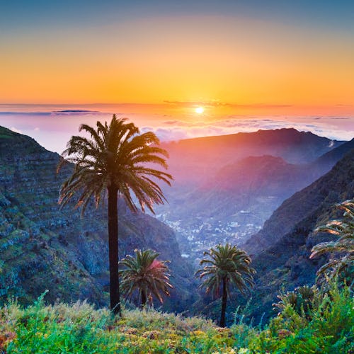 February 2027 Cruises from the UK