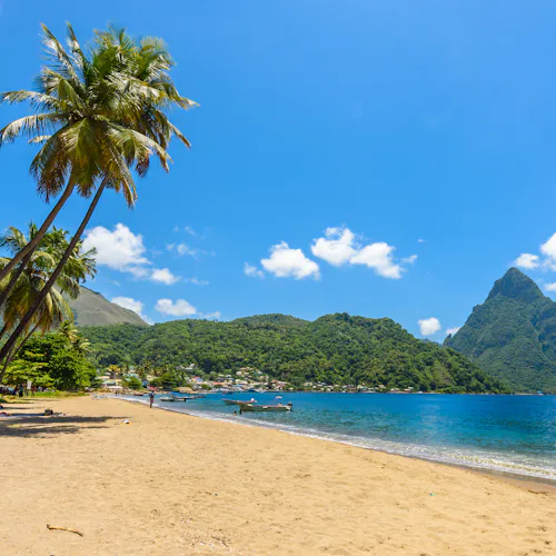 Amazon Explorer & Caribbean Shores