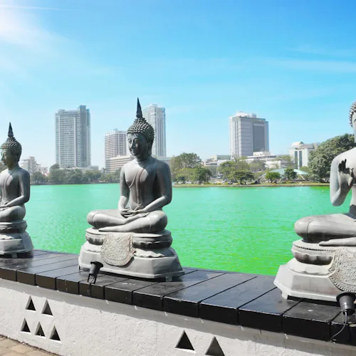 Southeast Asia & Indian Ocean Islands