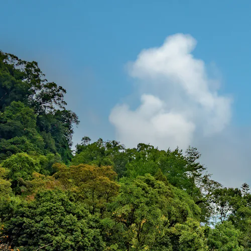 Kagoshima